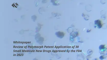Review of Polymorph Patent Application of 30 Small Molecule New Drugs Approved by the FDA in 2023