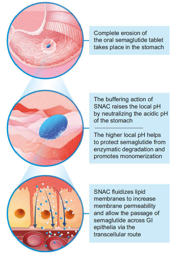 crystalpharmatech-2023913-34.png